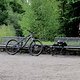 IMG 49667