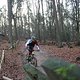 IMG 1202
