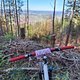 Morning Ride