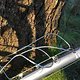 IMG 005528