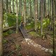 BC Squamish - Mark my Word
