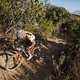Riders during Stage 3 of the 2025 Absa Cape Epic Mountain Bike stage race held at Fairview, Paarl, Cape Town, South Africa on the 19th March 2025. Photo by Sam Clark/Cape Epic
PLEASE ENSURE THE APPROPRIATE CREDIT IS GIVEN TO THE PHOTOGRAPHER AND ABSA