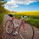 Ritchey Swiss Cross 20250426