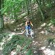 IMG 0011