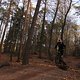 IMG 1927