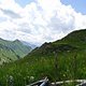 IMG 0790