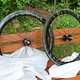 Light Bicycle Rim Brake Rim, Phil Kiss-Off Hubset, 32h