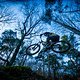 Dirt jump RVE