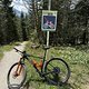 IMG 3019