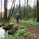 trail am bächlein