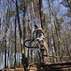 Bike Beerfelden P 298