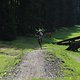 IMG 9778