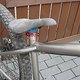 IMG 1423
