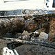 IMG 0425