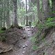 IMG 0578