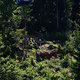 DSC05746