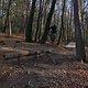 IMG 1762