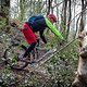 Ein toller Tag mit den Bikekumpels!
(Foto von Willi Wildsau)