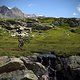 Auf dem Mountainbike treten durchaus verschiedene Fahrsituationen auf