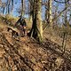 IMG 6042