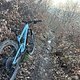 IMG 1249