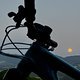 IMG 4019