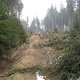 IMG 0020