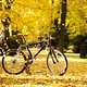 Herbst GT STS DH