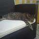 DSC00192-klein