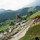 IMG 2446