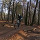 IMG 1817