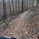 bei Tharandt Oberleitenweg