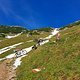 IMG 4942