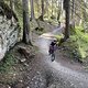 IMG 3986