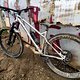 crossworx Zero 290