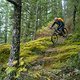 BC Squamish - Plural of Nemesis
