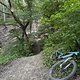 IMG 1548