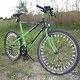 Bianchi Ragno Pholcus 004