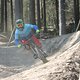IMG 8974