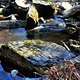 IMG 0559