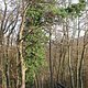 IMG 6452 1