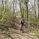 DSC00037