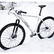 Rotwild R.T1 2speed
