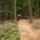 IMG 0123