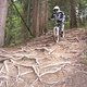 2008 0813PDS20080101