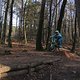 IMG 1751