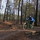 IMG 1759