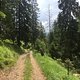 IMG 6439