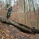 20211127-04L Rochwitz