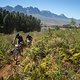 Simon Schneller and Urs Huber of Team Bulls during stage 1 of the 2022 Absa Cape Epic Mountain Bike stage race from Lourensford Wine Estate to Lourensford Wine Estate, South Africa on the 21st March 2022. Photo by Nick Muzik/Cape Epic
PLEASE ENSURE T